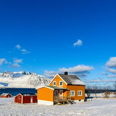 Lillevik Lofoten Gimsoy Esterno foto